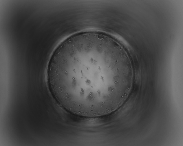 X0000100771279200806191234