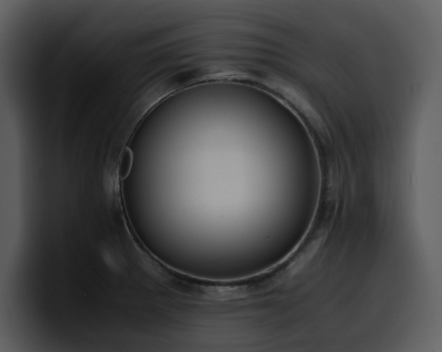 X0000100771281200806191233