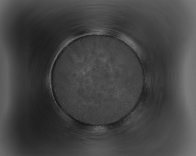 X0000100771283200806191233