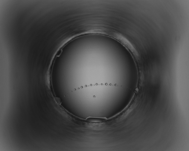 X0000100771284200806191233