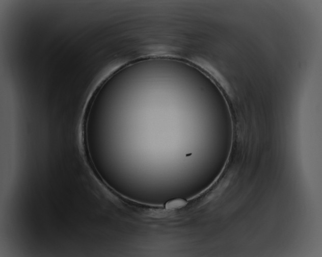 X0000100771285200806191233