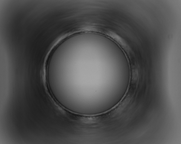 X0000100771286200806191233
