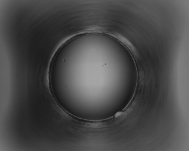 X0000100771288200806191233