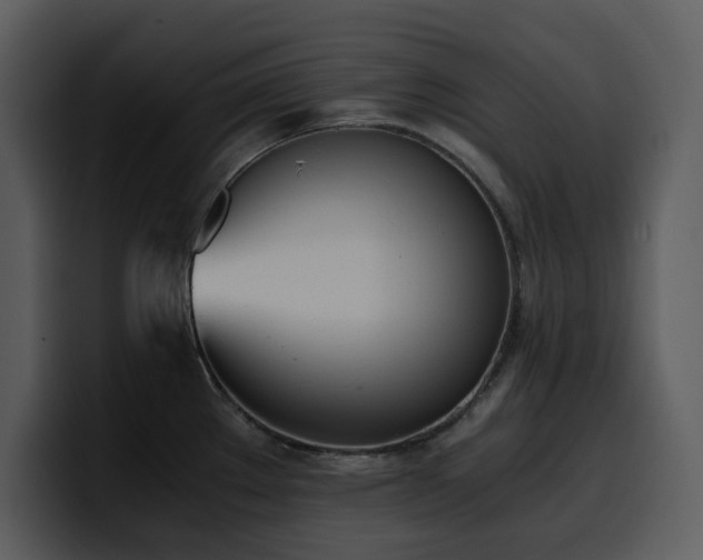 X0000100771289200806191233