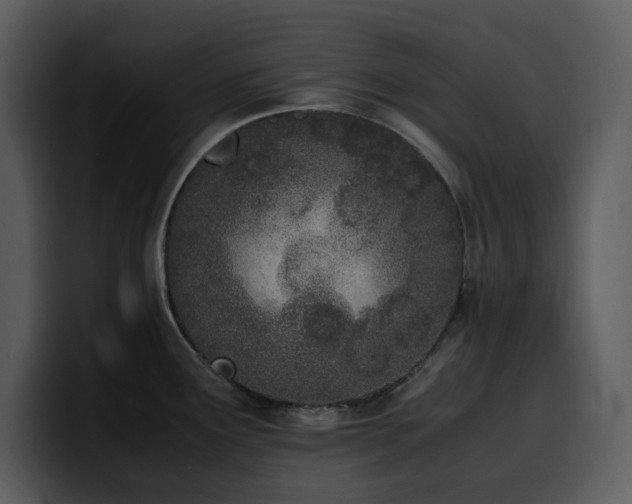 X0000100771291200806191233