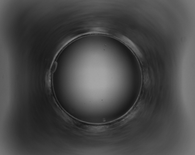 X0000100771292200806191233