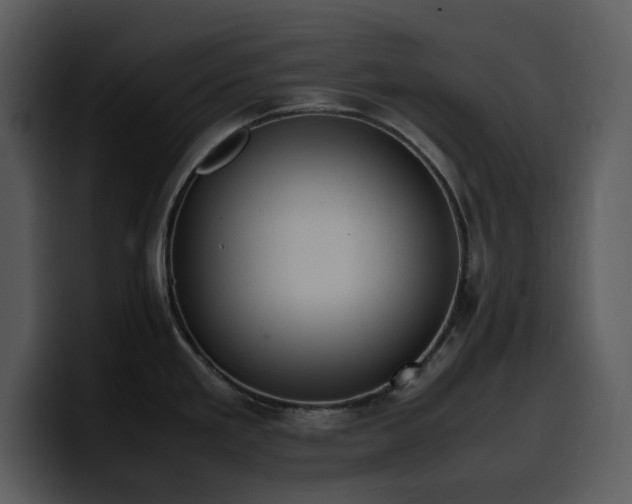 X0000100771293200806191233