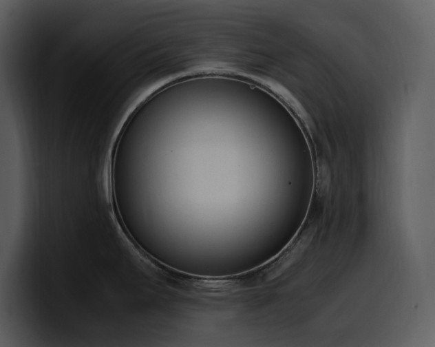 X0000100771295200806191233