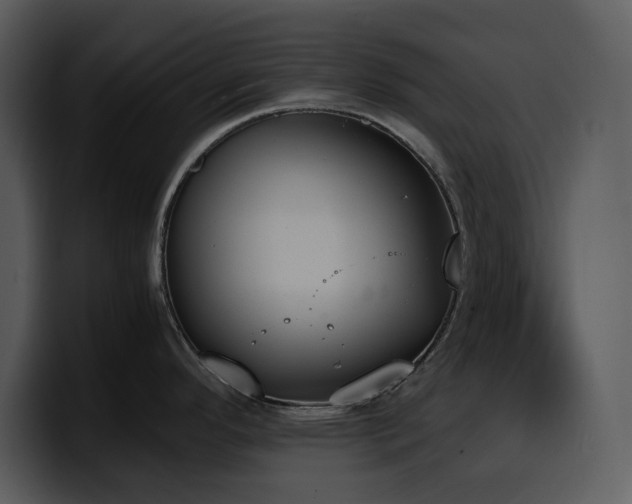 X0000100771296200806191233