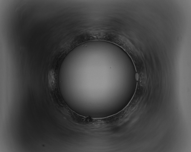 X0000100771298200806191233