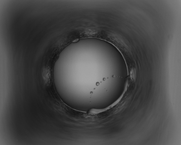 X0000100771299200806191233