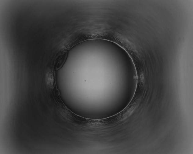 X0000100771300200806191233