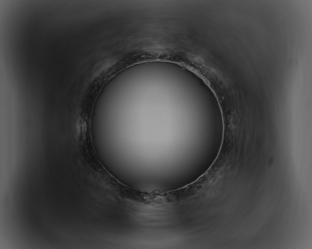 X0000100771302200806191233