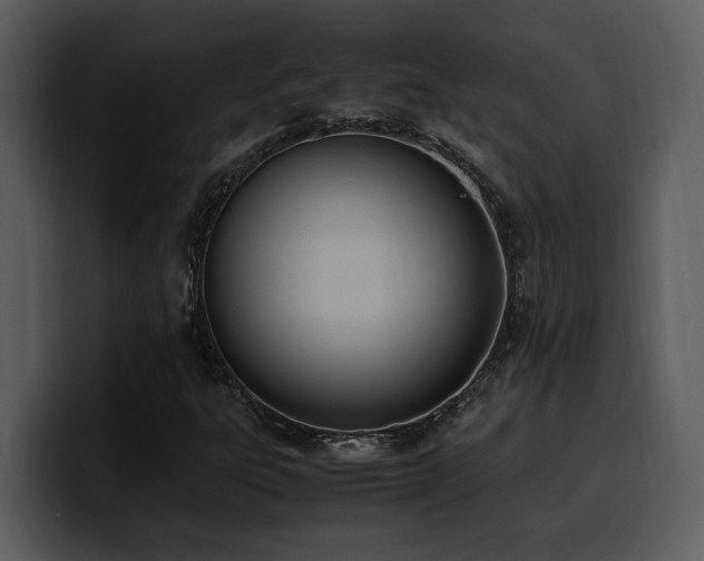 X0000100771303200806191233