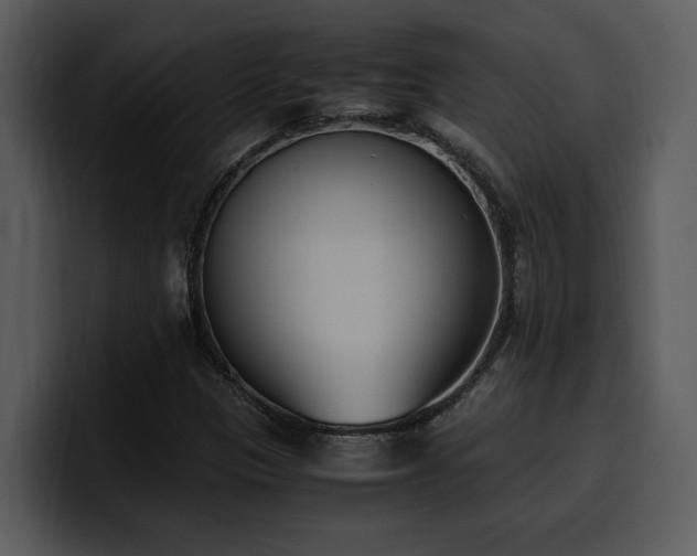 X0000100771305200806191233