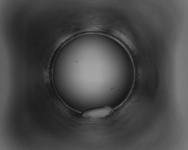 X0000100771308200806191233