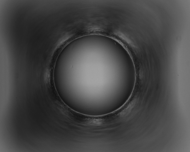 X0000100771309200806191233