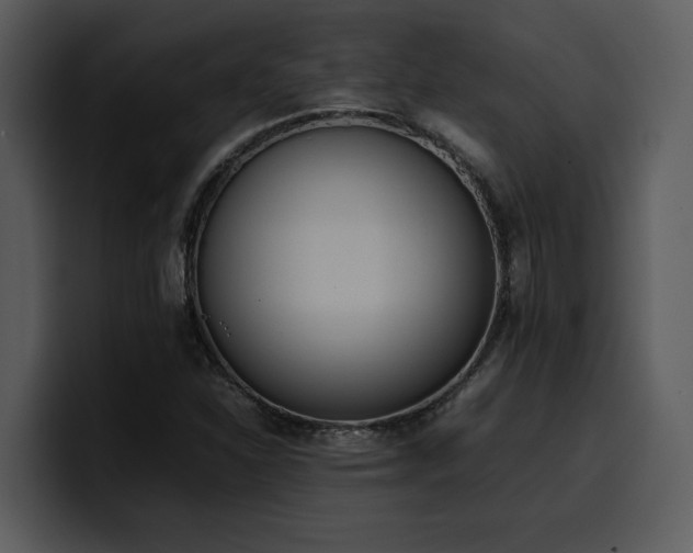 X0000100771310200806191233
