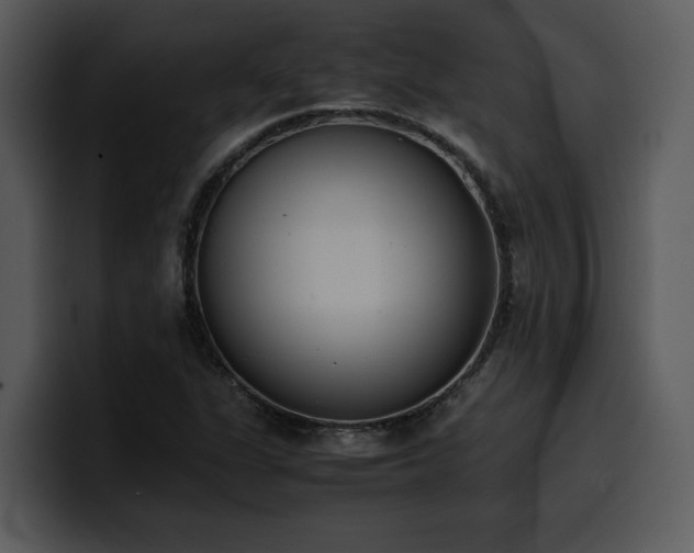 X0000100771311200806191233
