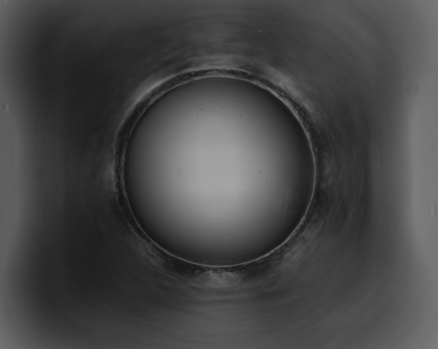 X0000100771312200806191233