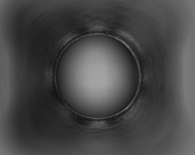 X0000100771313200806191233