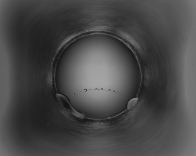 X0000100771316200806191233