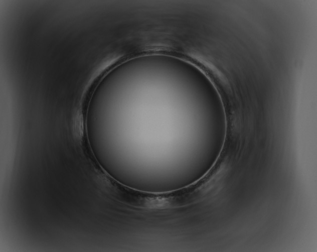 X0000100771317200806191233