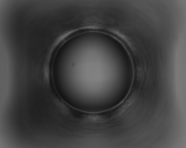X0000100771319200806191233