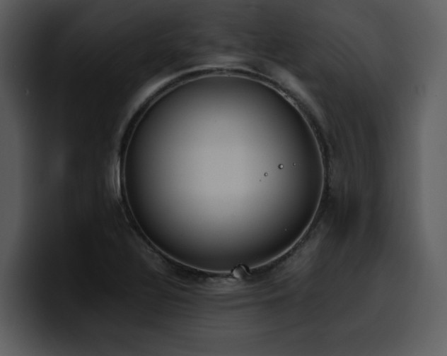 X0000100771320200806191233
