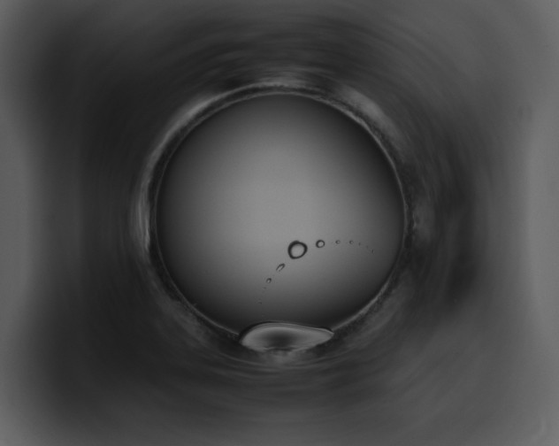 X0000100771323200806191233