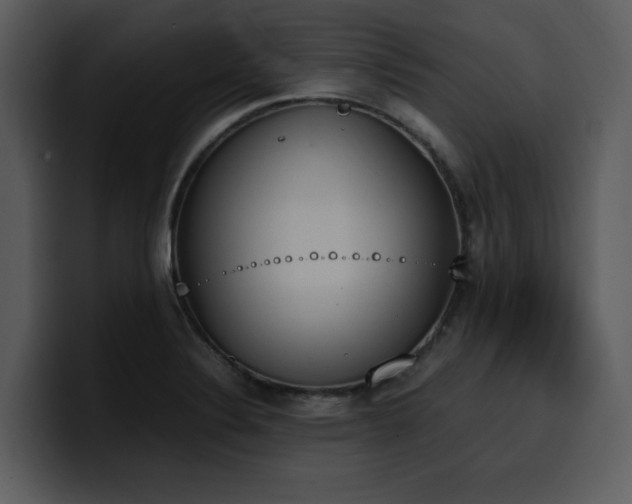 X0000100771324200806191233