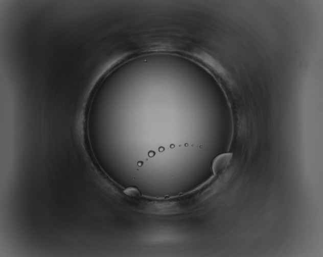 X0000100771325200806191233