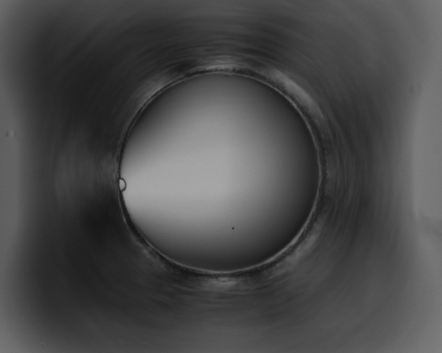 X0000100771329200806191233