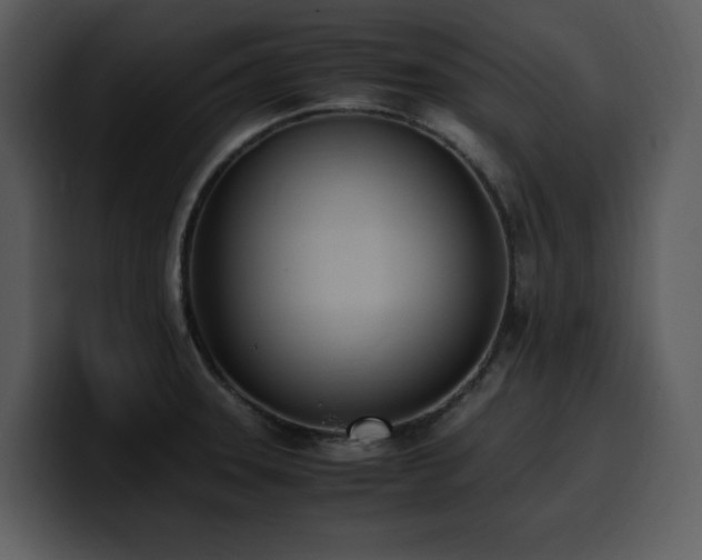 X0000100771331200806191233