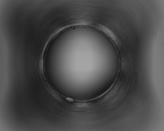 X0000100771332200806191233