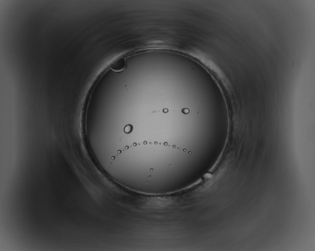 X0000100771333200806191233