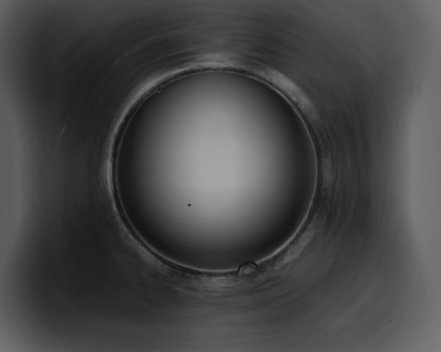 X0000100771334200806191233