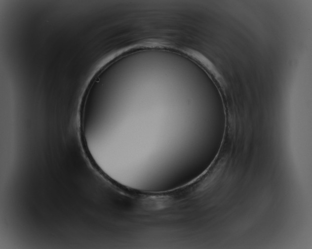 X0000100771335200806191233