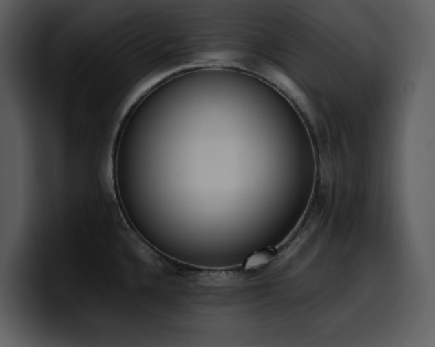 X0000100771336200806191233