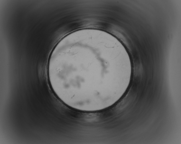 X0000100771338200806191233