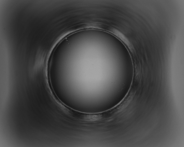 X0000100771339200806191233