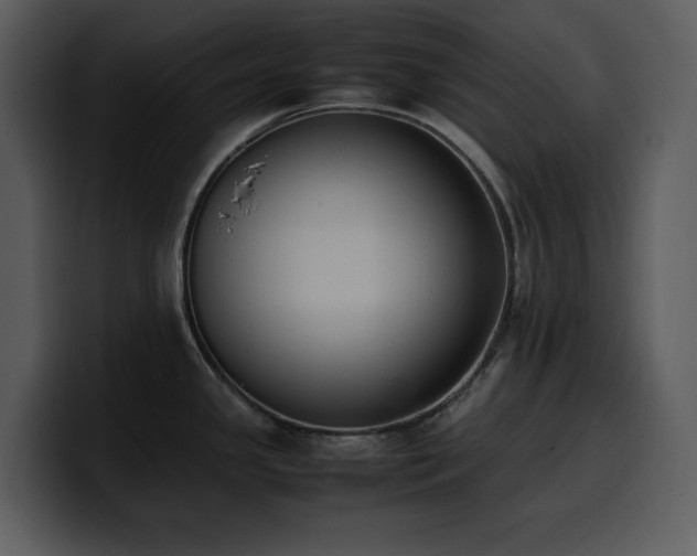 X0000100771341200806191233