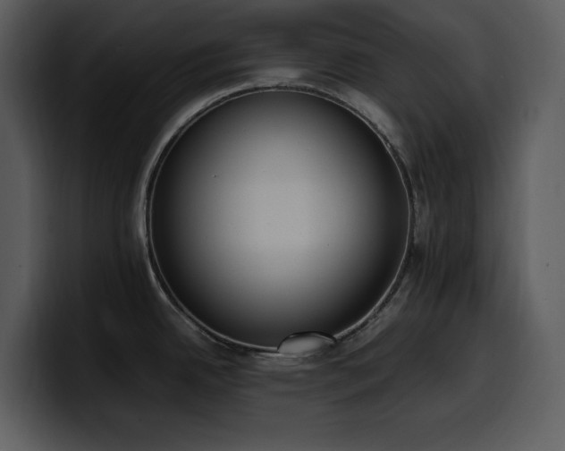 X0000100771342200806191233