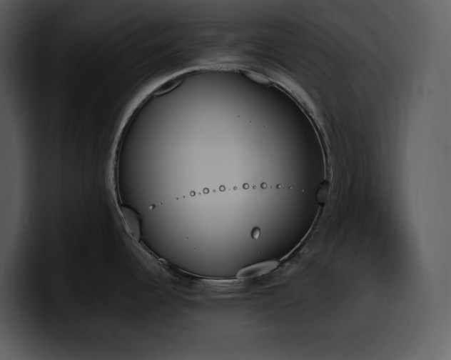 X0000100771344200806191233