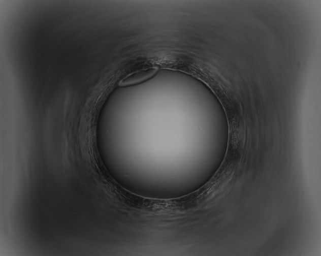 X0000100771345200806191233