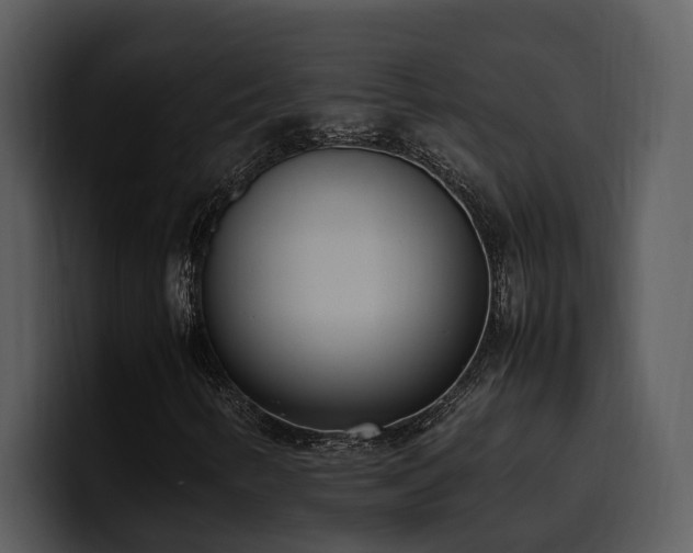 X0000100771346200806191233