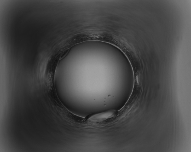 X0000100771347200806191233