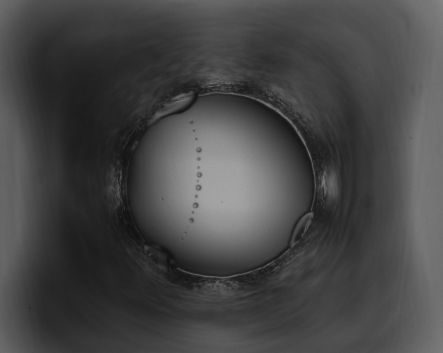 X0000100771348200806191233