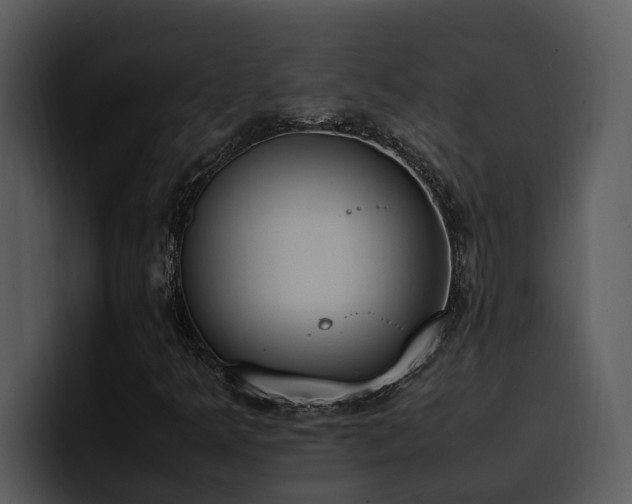 X0000100771349200806191233