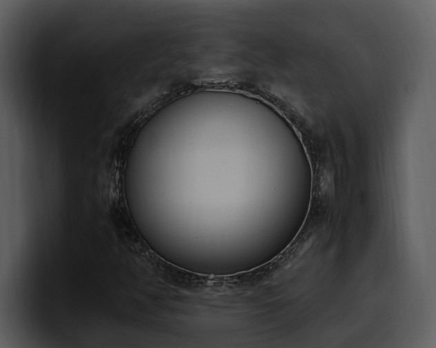 X0000100771350200806191233